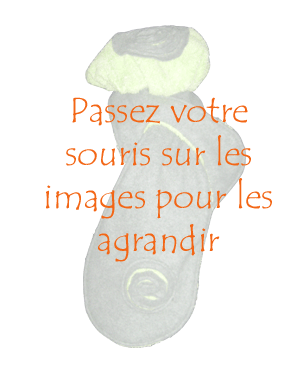 Zone d'affichage des images